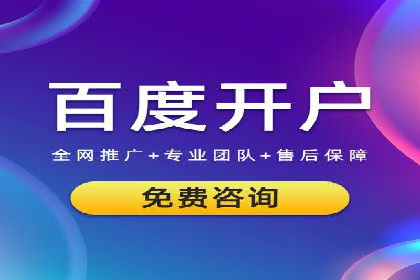 揭秘：成功SEM推广代运营公司案例解析